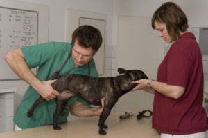 Diagnostics